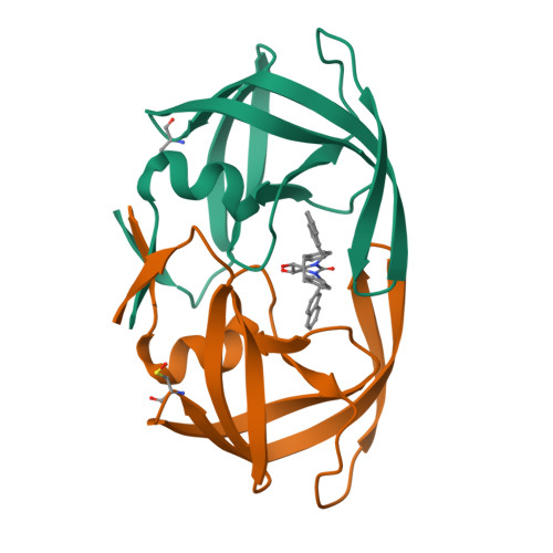 HIV protease with a cyclic urea inhibitor, PDB 1HVR. Representative structure for structure-guided affinity optimization.