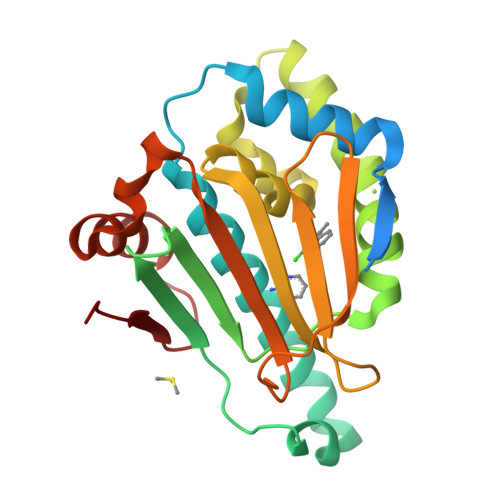 Hsp90 with a small-molecule inhibitor, PDB 2XDU, associated with the fragment discovery study by Murray and colleagues cited below.