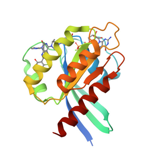 KRAS G12C covalently bound to AMG 510, PDB 6OIM. Representative KRAS inhibitor complex; this is not the methylated series reported by Kettle and colleagues.