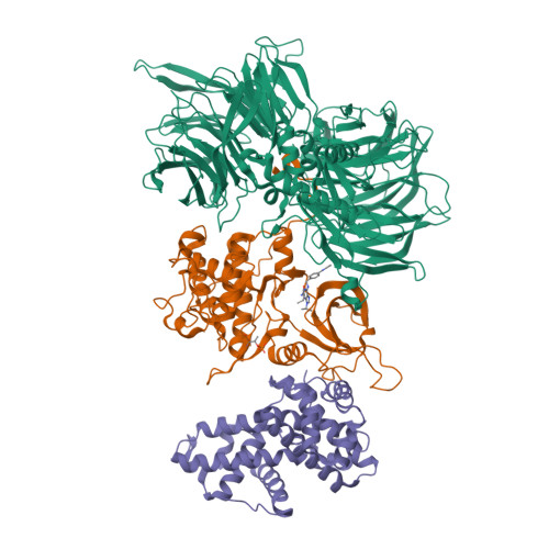 DDB1 bound to CR8-engaged CDK12–cyclin K, PDB 6TD3. A representative complex whose biological outcome cannot be inferred from a molecular fingerprint alone.