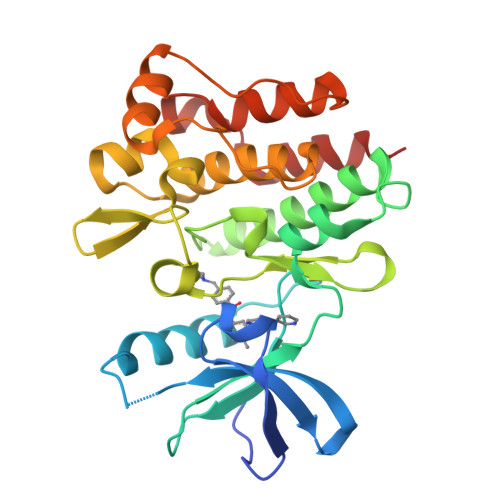 Human ABL kinase domain with imatinib, PDB 2HYY. An experimental complex illustrating the importance of the bound protein conformation.