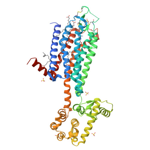 Adenosine A2A receptor with ZM241385, PDB 3EML. Representative receptor structure, not a complex from the 2025 study discussed below.