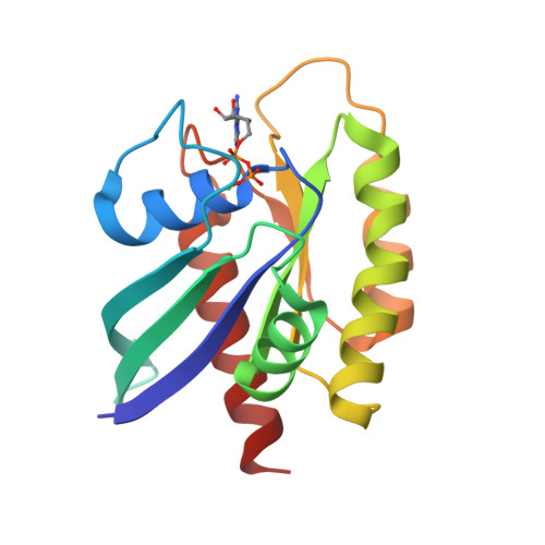 GDP-bound human KRAS, PDB 4OBE. Representative target structure; a structure alone does not establish disease relevance.